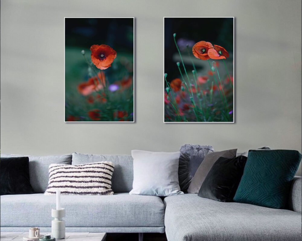 Fine Art Print - Poppies Blue - Demo