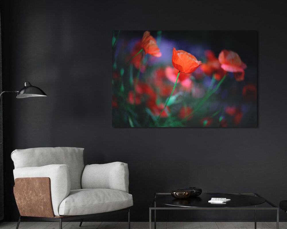 Fine Art Print - Poppies Blue - Interior